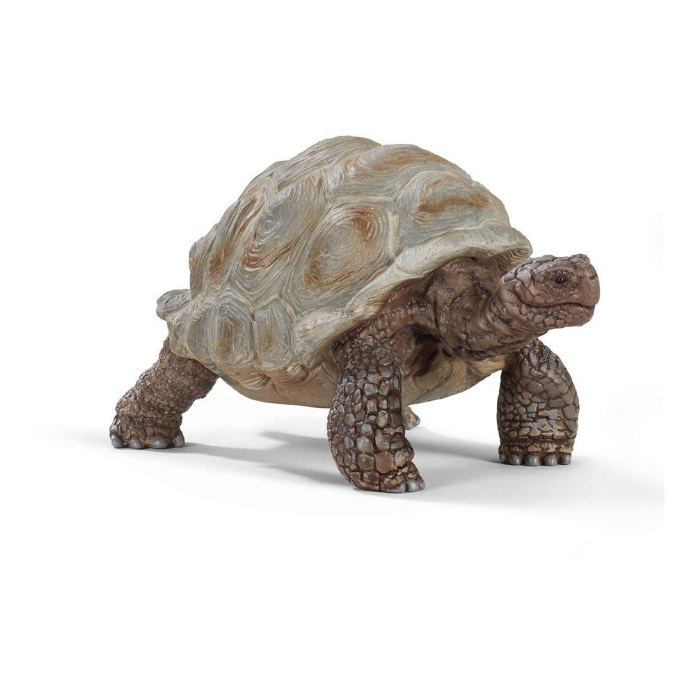 Multi - Schleich - Wild Life Giant Tortoise