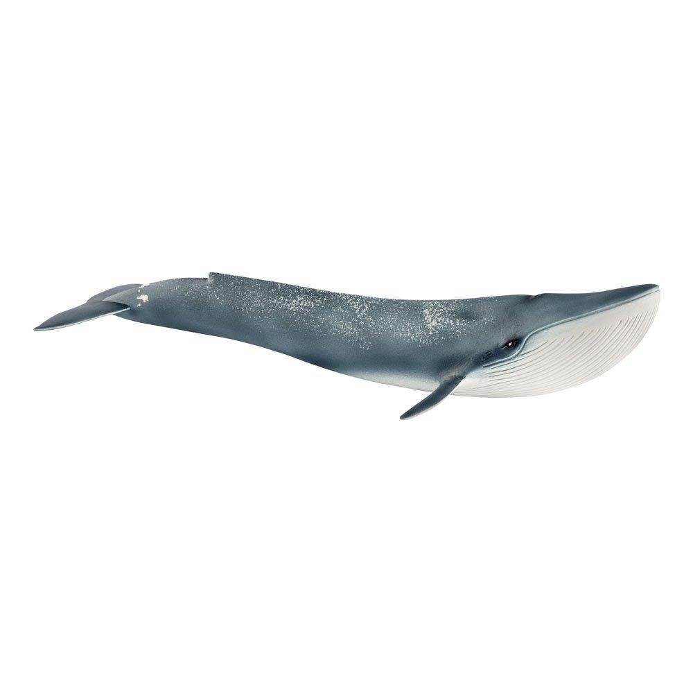 Schleich  Kids Wild Life Blue Whale Toy -  - 000