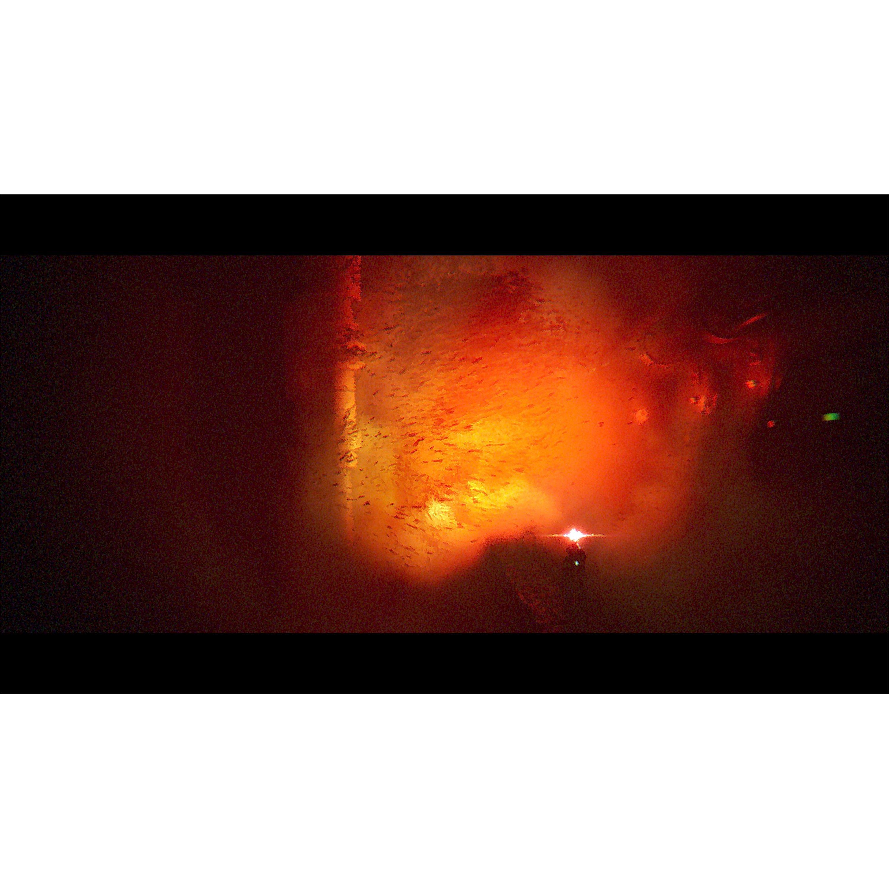 PS5 - Plaion - Under The Waves - 9