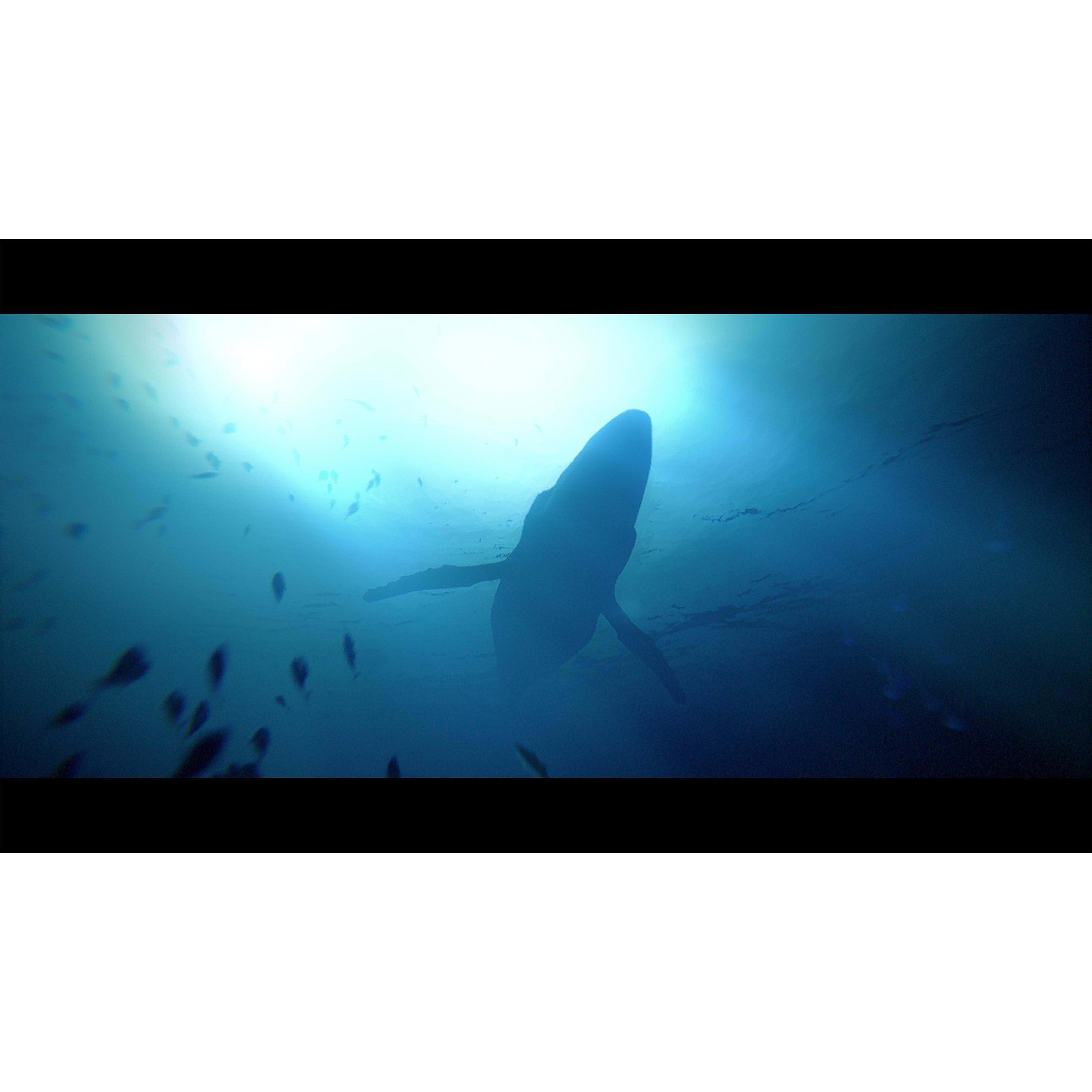 Xbox 4 - Plaion - Under The Waves - 2