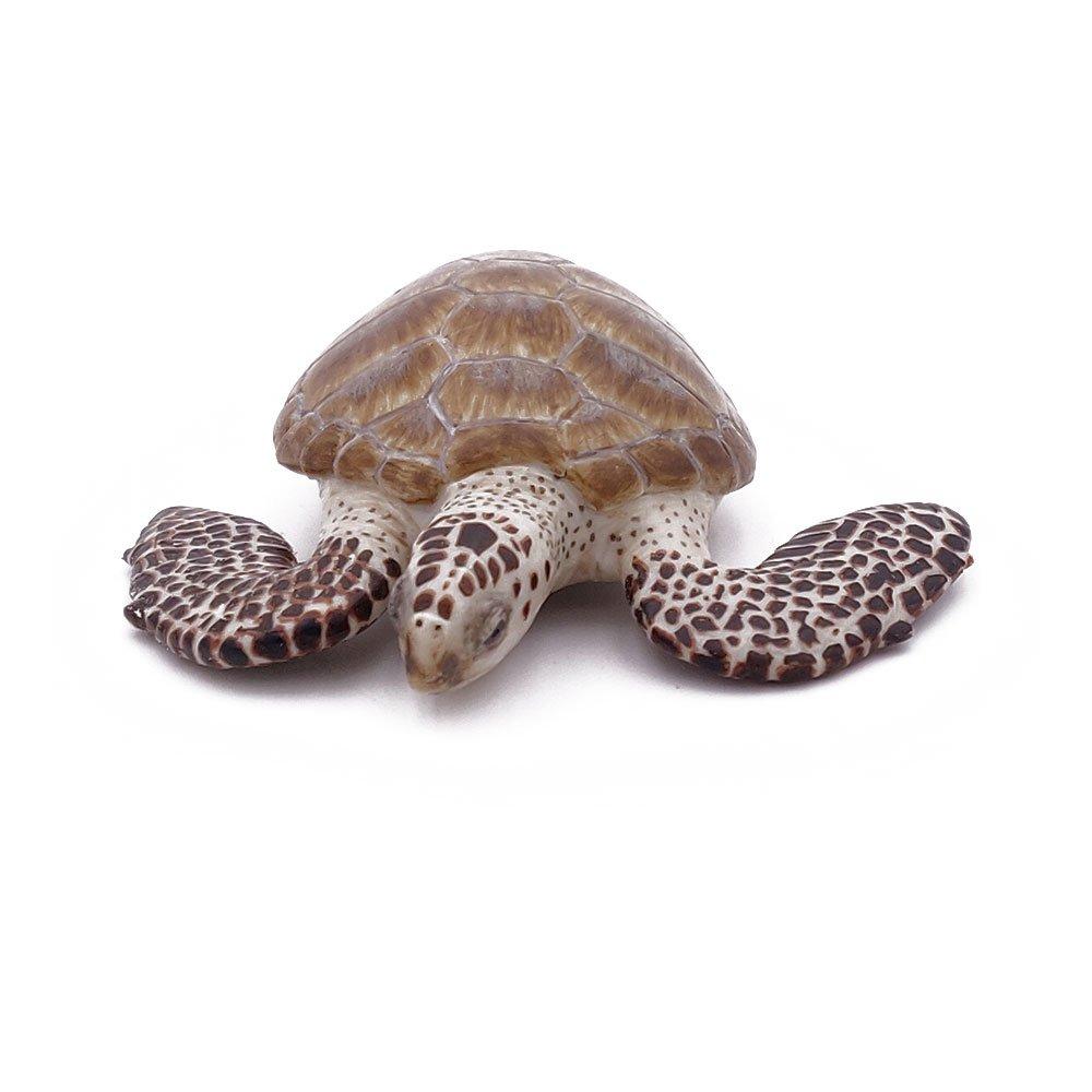 Multi - PAPO - Marine Life Loggerhead Tu - 3