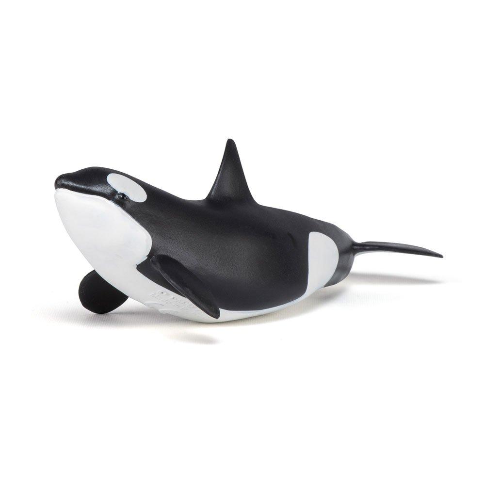 Multi - PAPO - Marine Life Killer Whale - 5