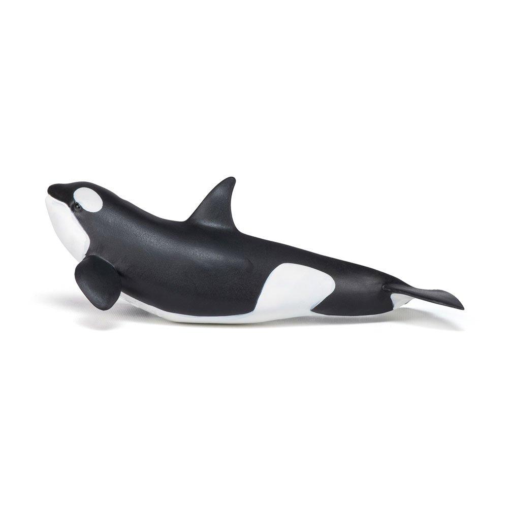 Multi - PAPO - Marine Life Killer Whale - 6