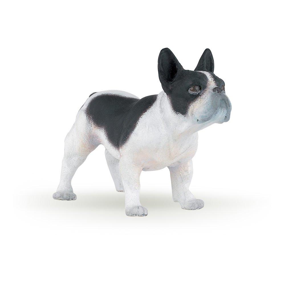 Multi - PAPO - Dog and Cat Companions Bl