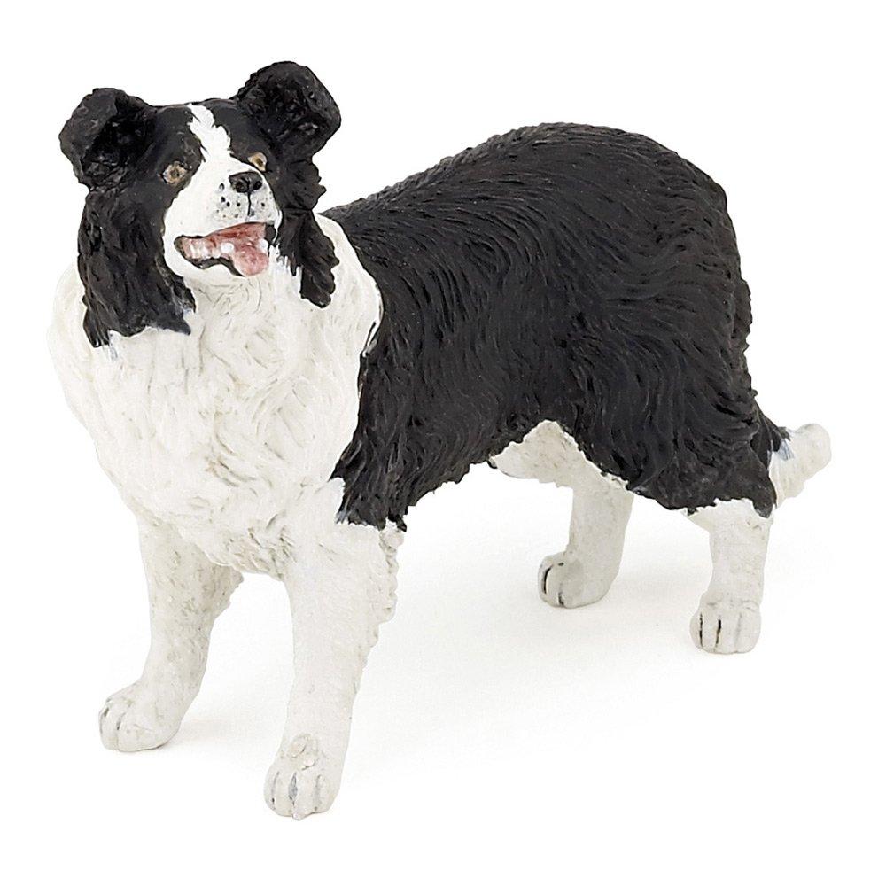 Multi - PAPO - Dog and Cat Companions Bo - 1