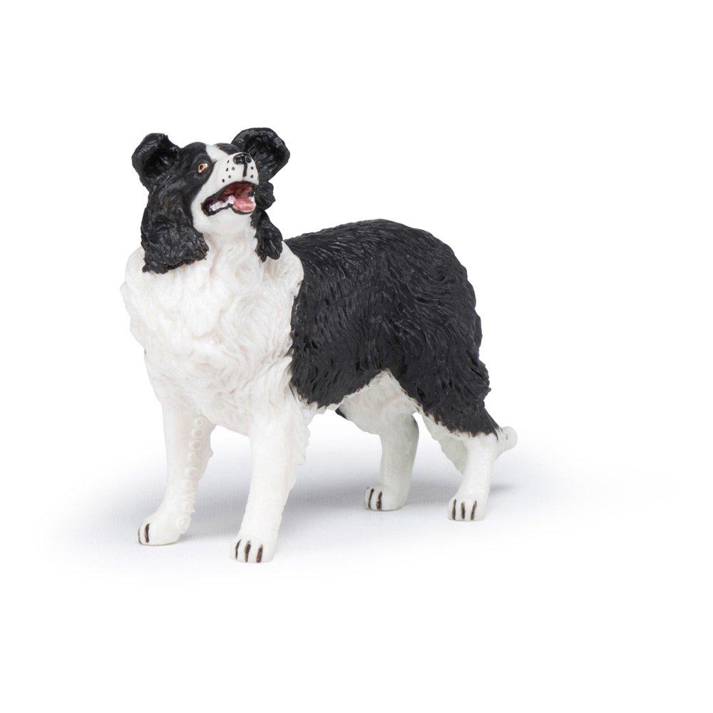 Multi - PAPO - Dog and Cat Companions Bo - 3