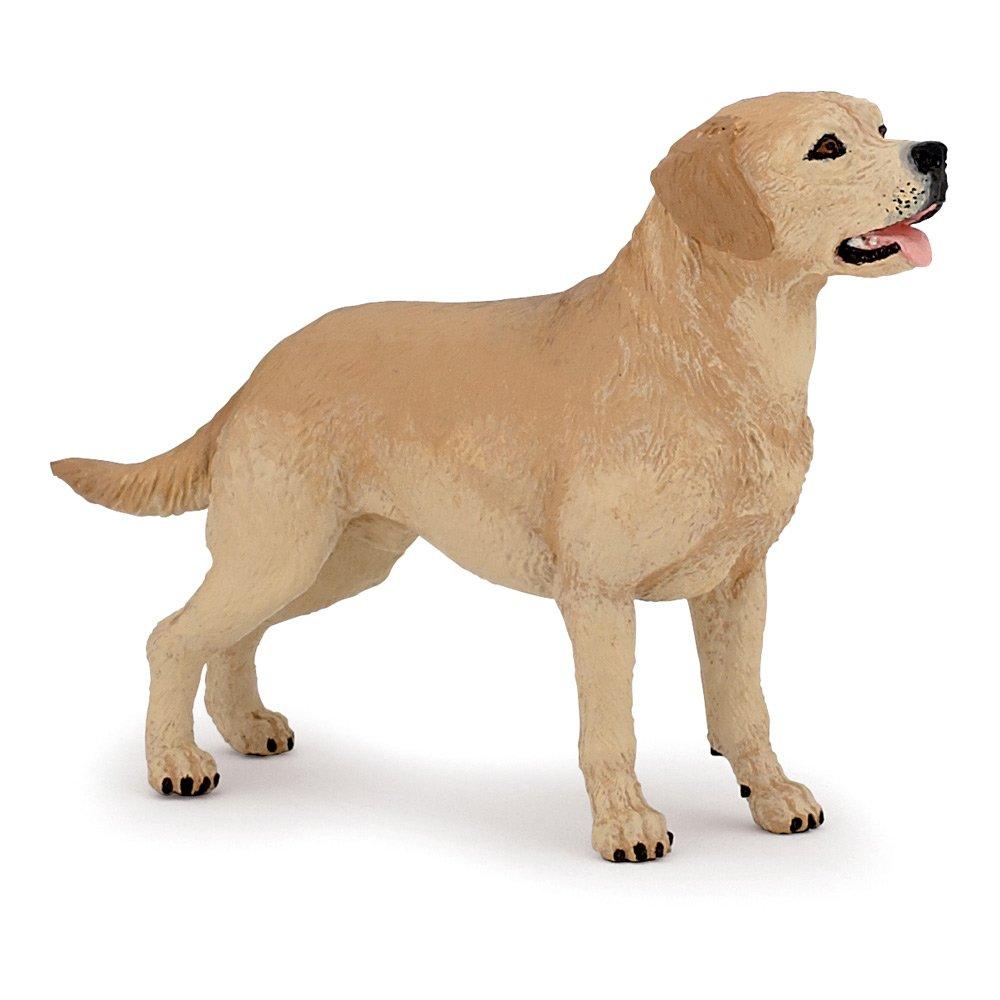 Multi - PAPO - Dog and Cat Companions La