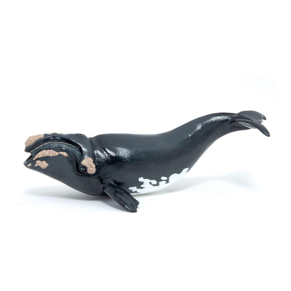 Papo  Kids Marine Life Right Whale T -  - 000