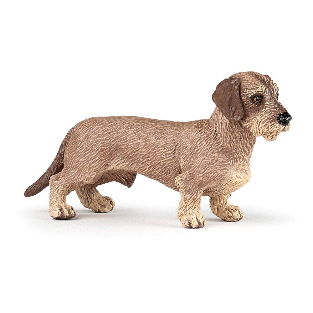 Multi - PAPO - Dog and Cat Companions Da
