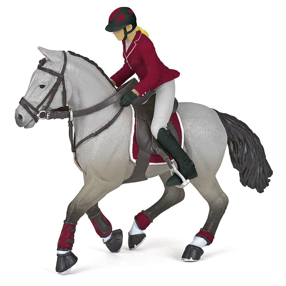 Multi - PAPO - Horses and Ponies Competi - 1
