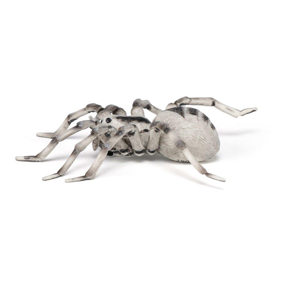 Multi - PAPO - Wild Animal Kingdom Taran - 6