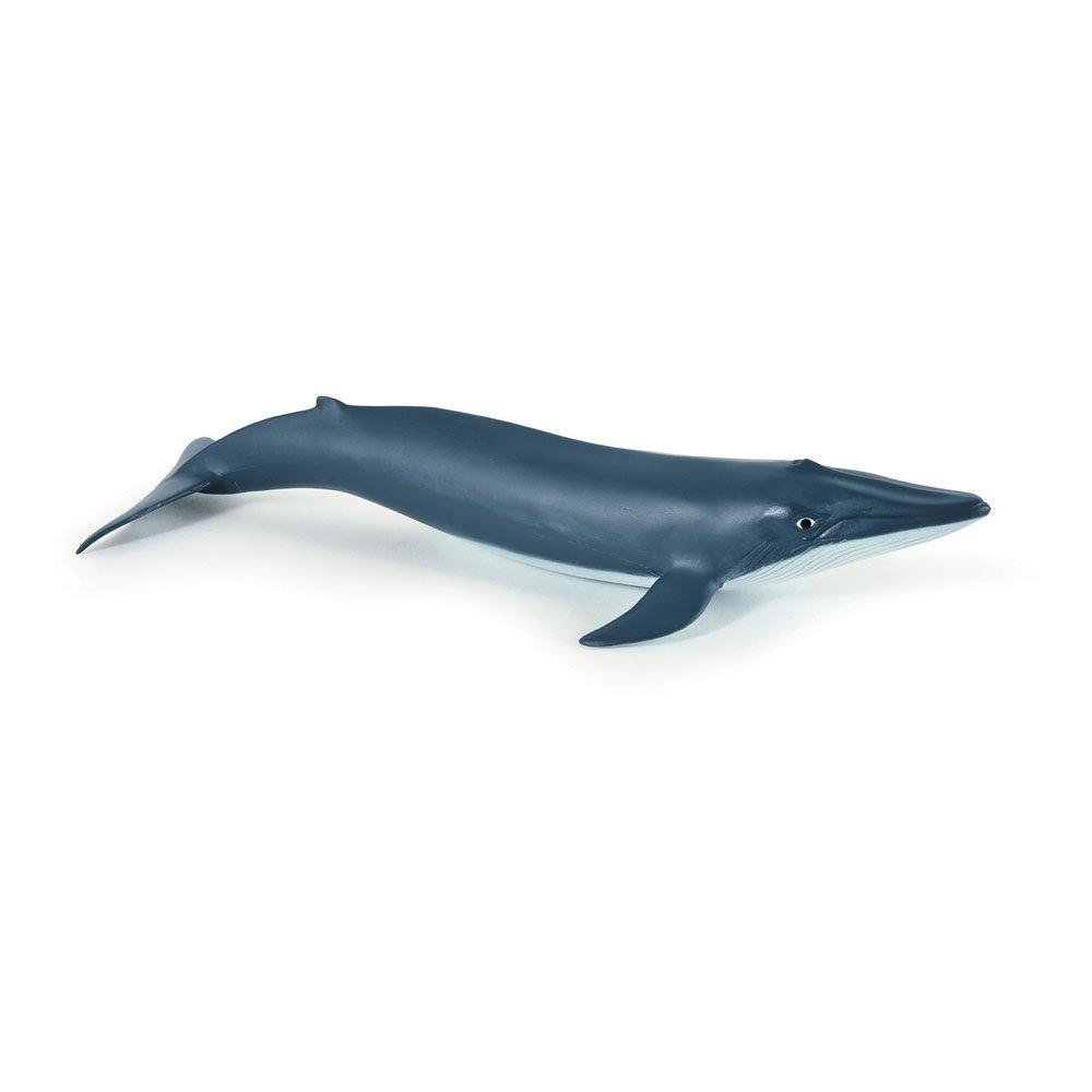 Multi - PAPO - Marine Life Blue Whale Ca - 1