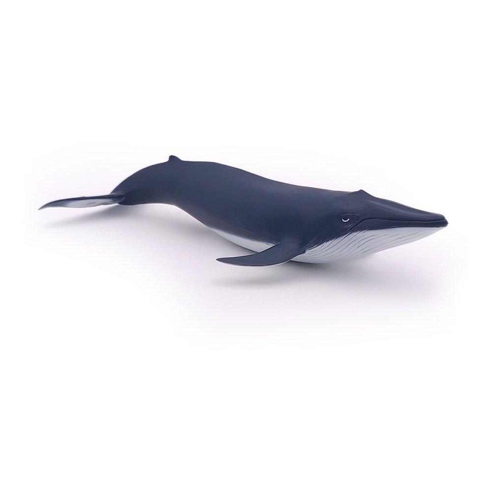 Multi - PAPO - Marine Life Blue Whale Ca - 2