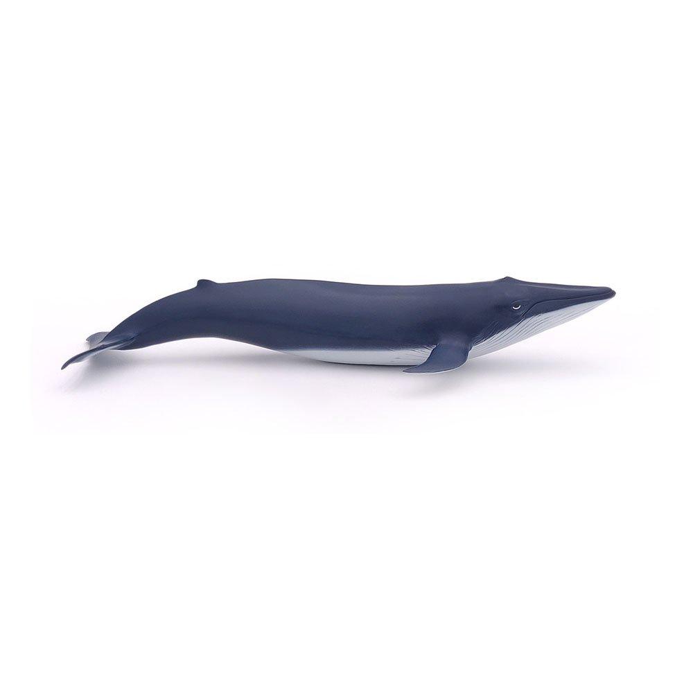 Multi - PAPO - Marine Life Blue Whale Ca - 3