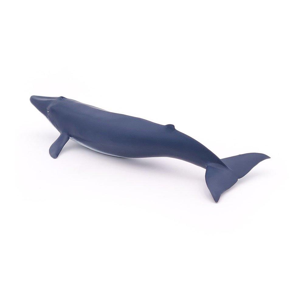 Multi - PAPO - Marine Life Blue Whale Ca - 4