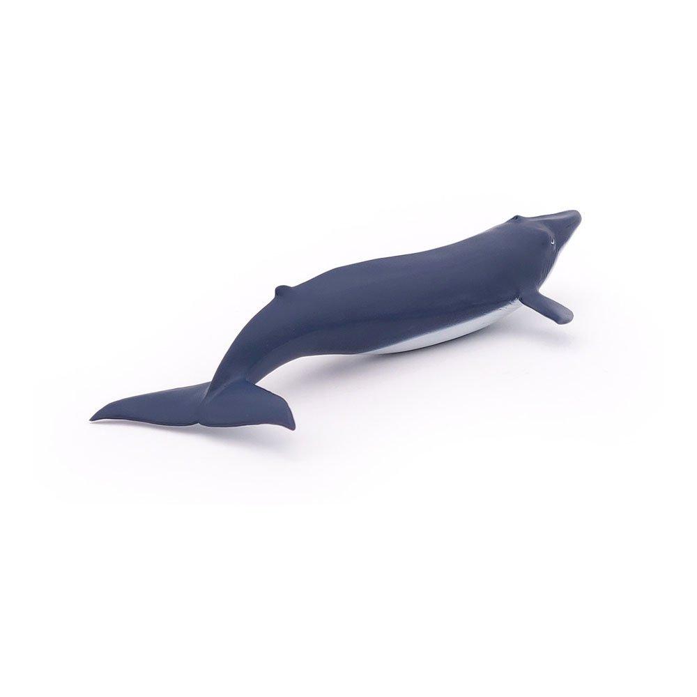 Multi - PAPO - Marine Life Blue Whale Ca - 5