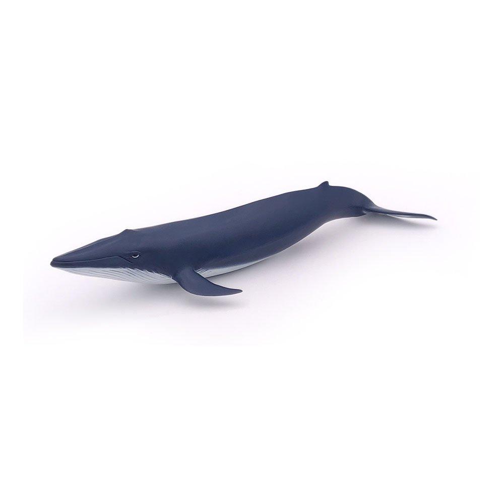Multi - PAPO - Marine Life Blue Whale Ca - 6