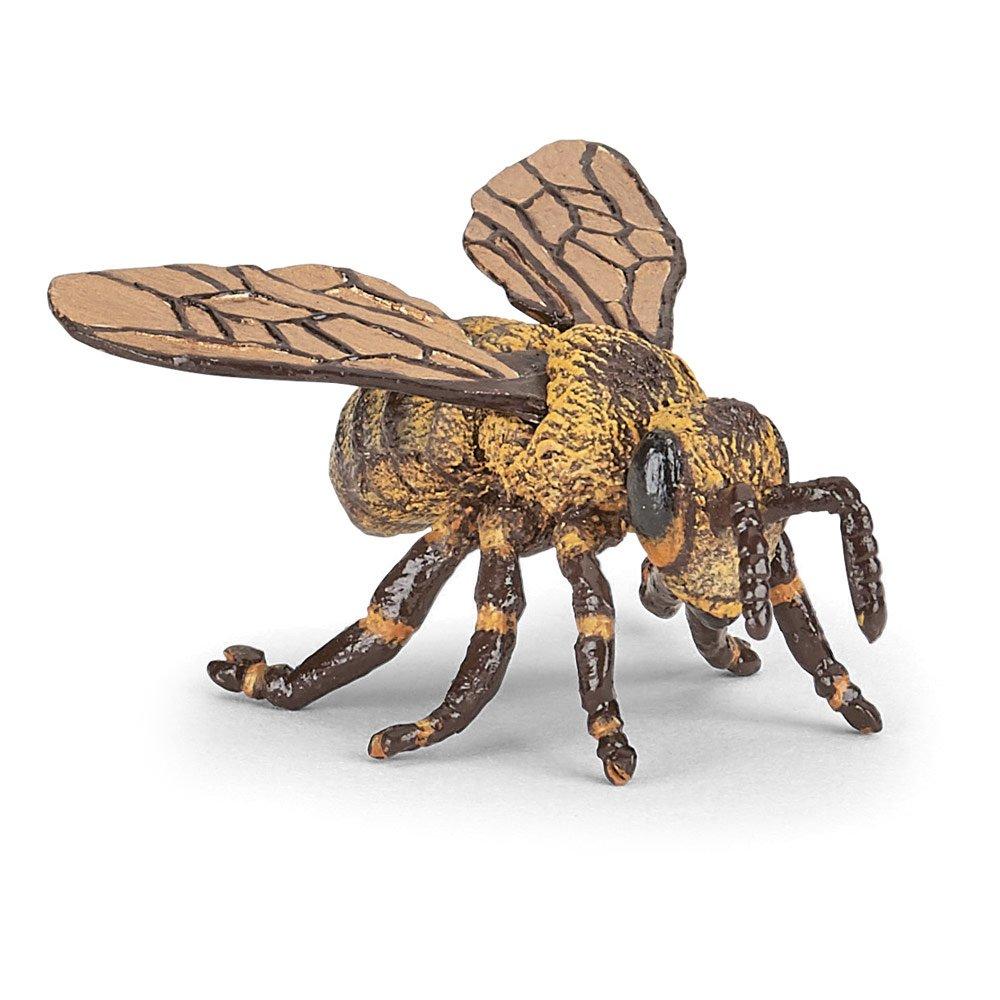 Multi - PAPO - Wild Animal Kingdom Bee T