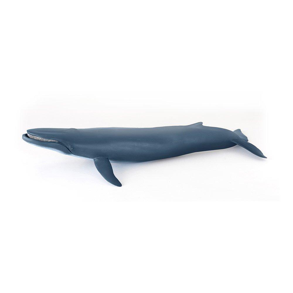 Papo  Kids Marine Life Blue Whale To -  - 000