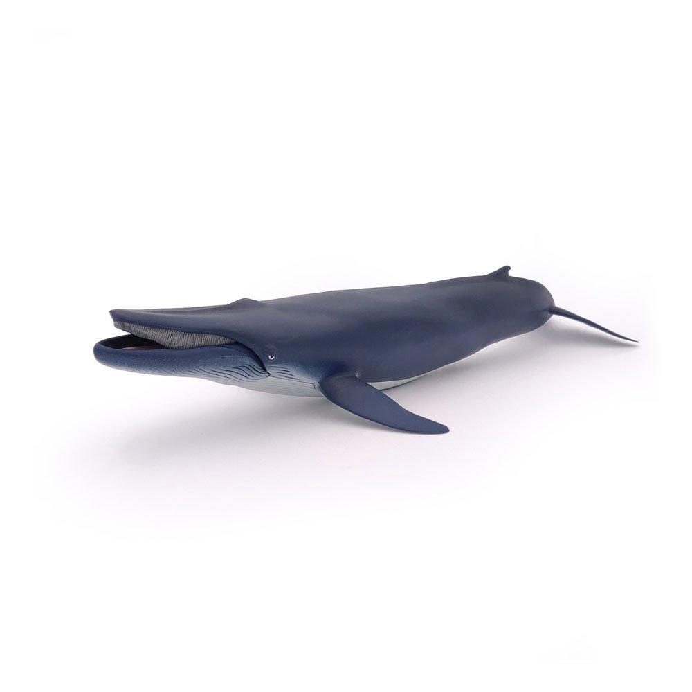 Multi - PAPO - Marine Life Blue Whale To - 3