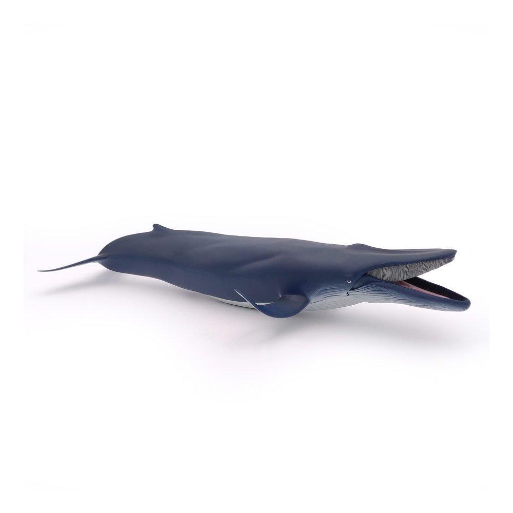 Multi - PAPO - Marine Life Blue Whale To - 5