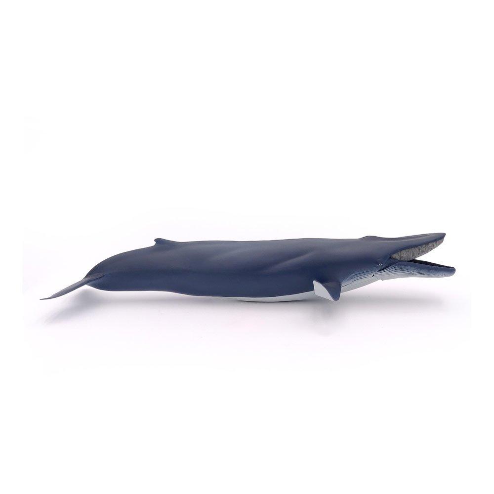 Multi - PAPO - Marine Life Blue Whale To - 6