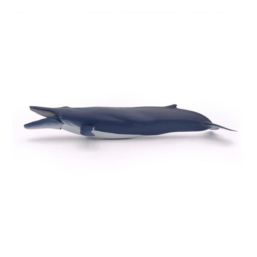 Multi - PAPO - Marine Life Blue Whale To - 7