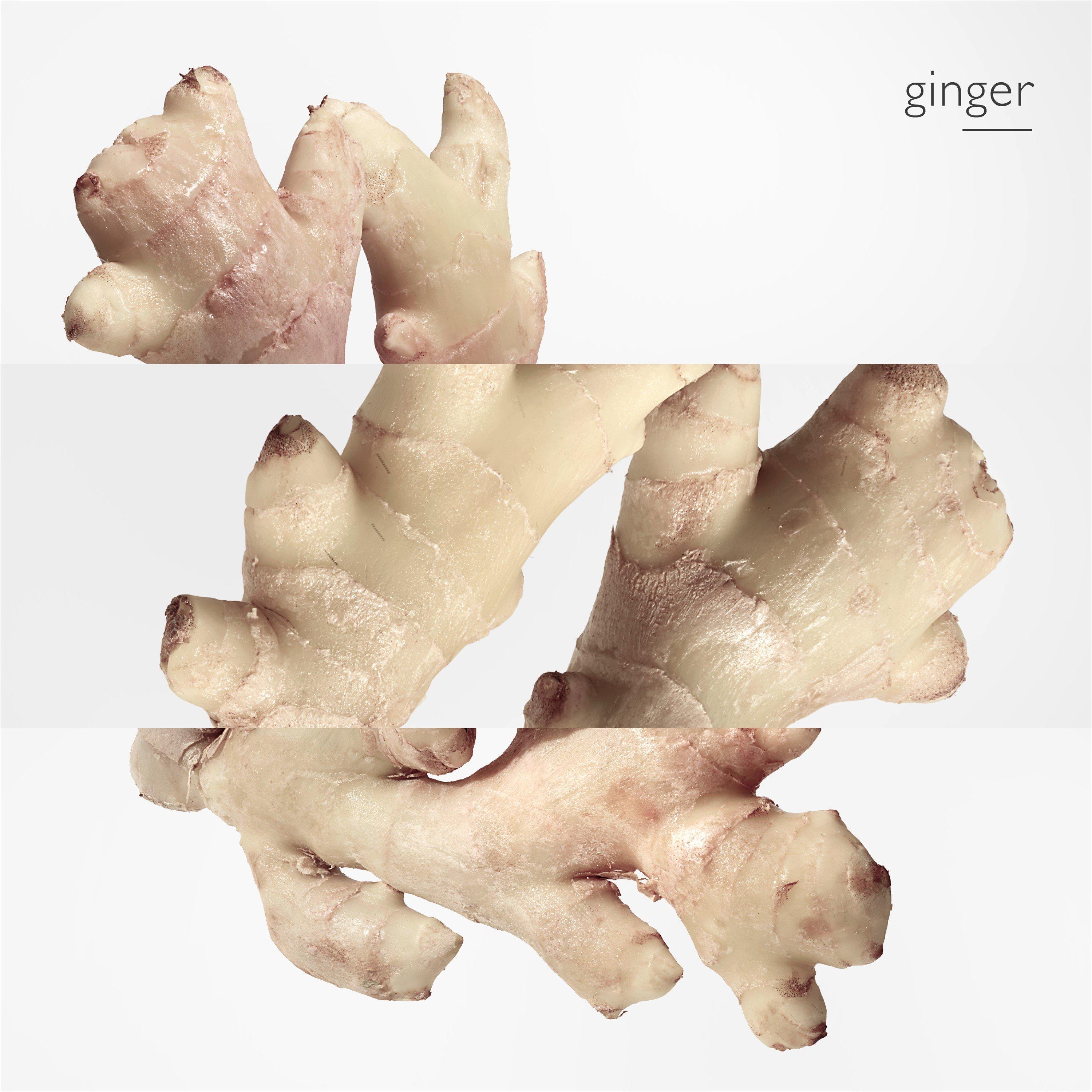 Twilly - Hermes - Twilly d'Hermès, Eau de parfum - 4