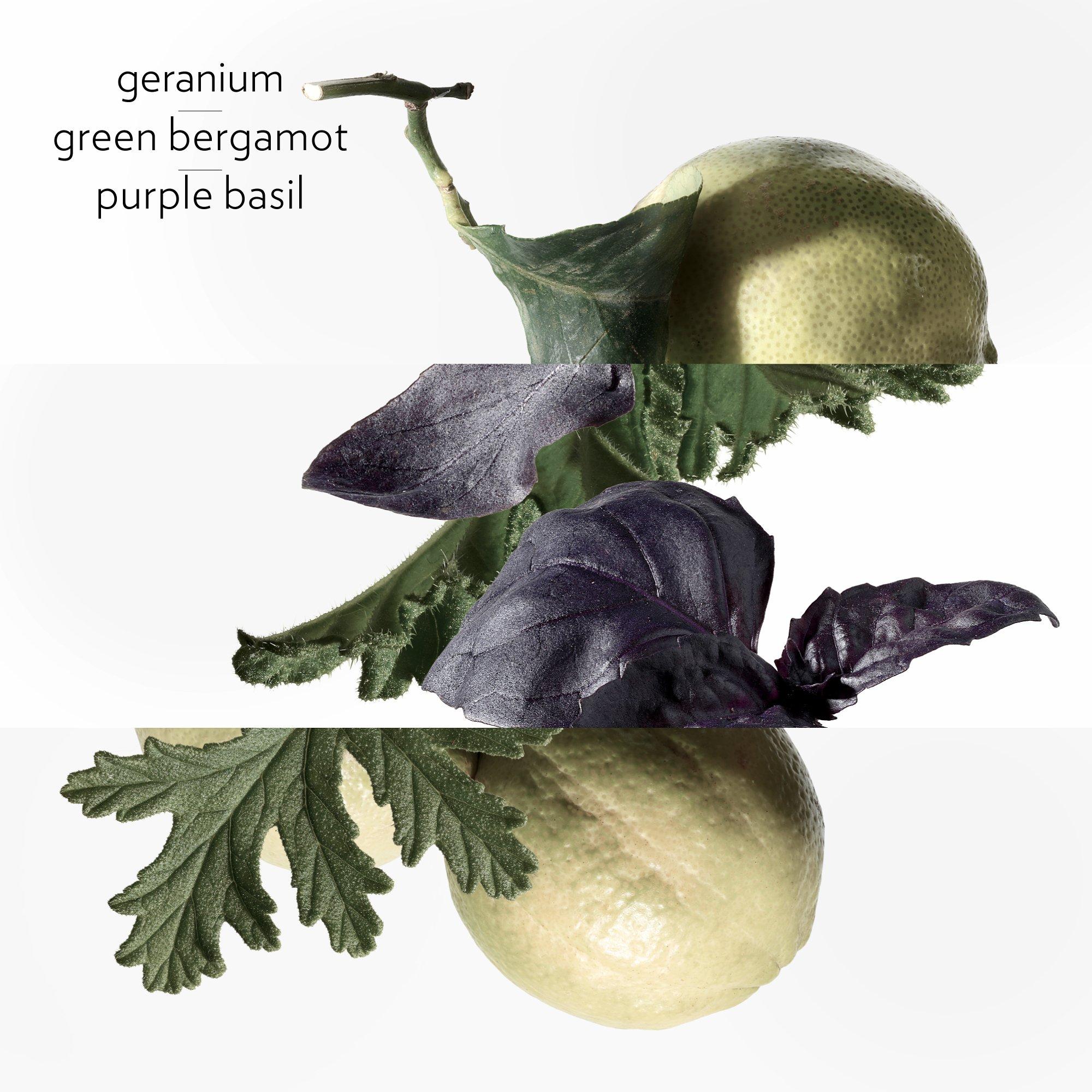 Clear - Hermes - Eau de Basilic Pourpre, Eau de Cologne - 3