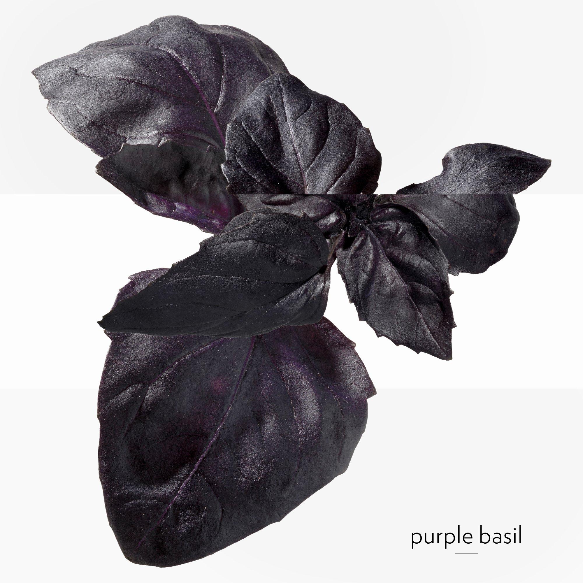 Clear - Hermes - Eau de Basilic Pourpre, Eau de Cologne - 4