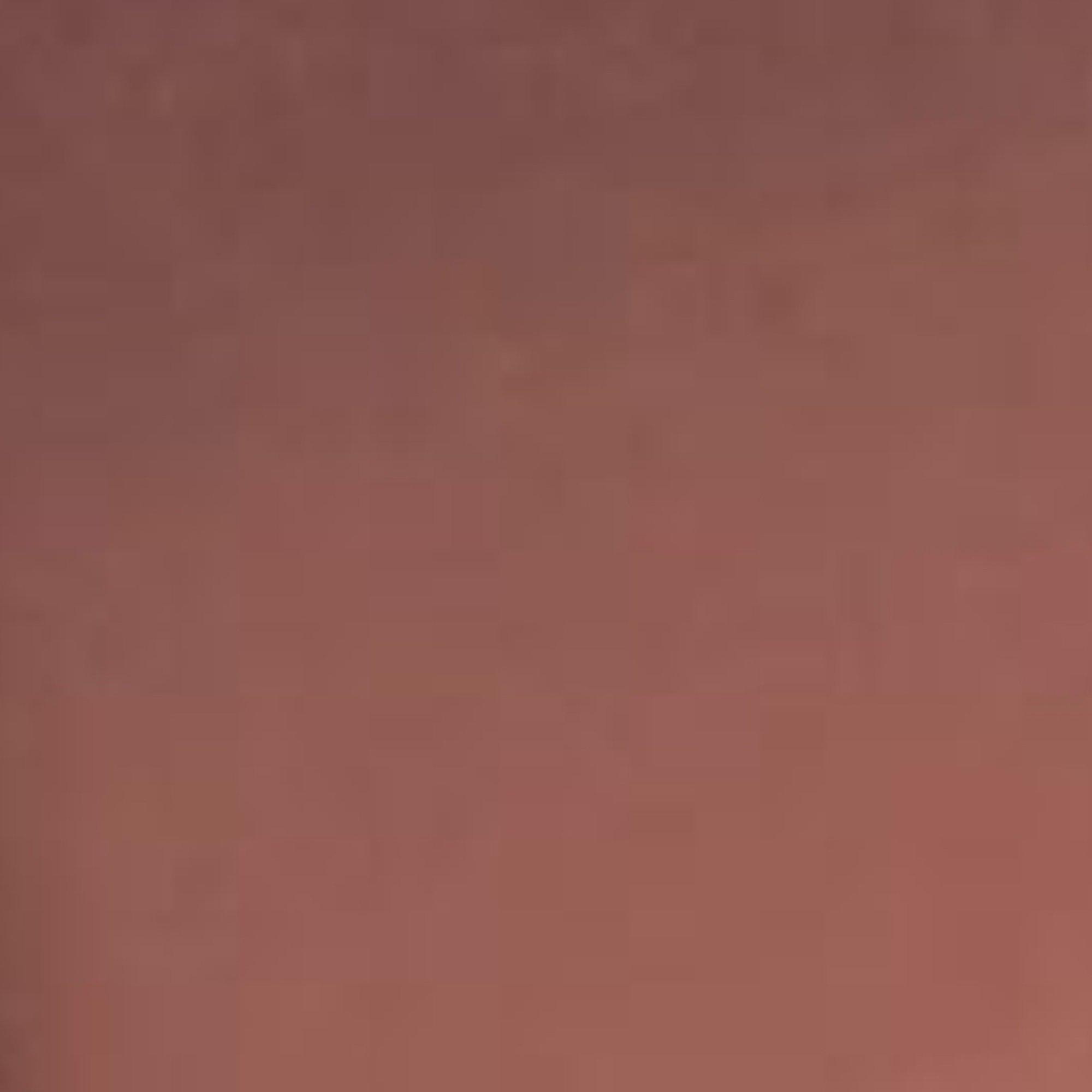 Lip Maestro Matte Nature Liquid Lip Colour