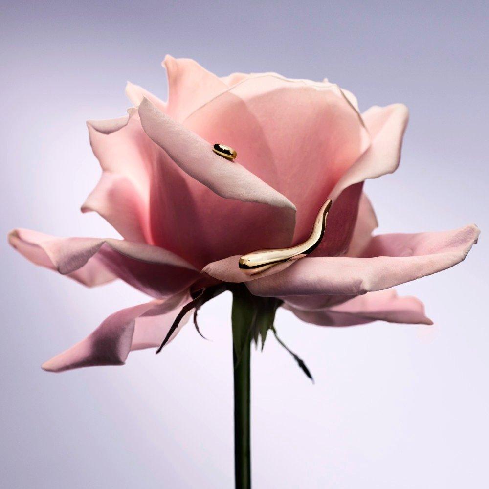 Clear - Lancome - La Vie Est Belle L'Extrait de Parfum - 5