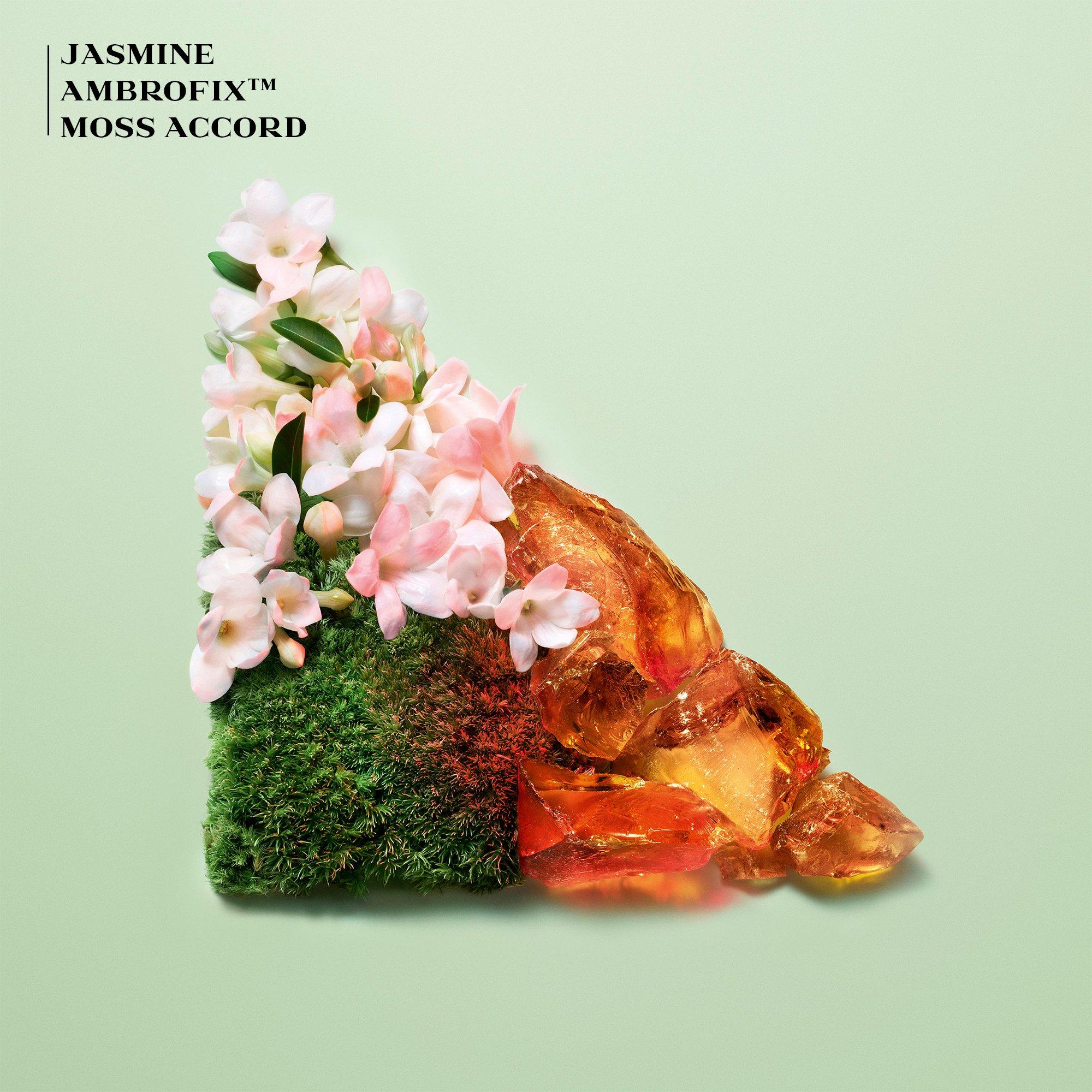 Clear - Prada - Paradoxe Intense Refill Eau de Parfum - 4