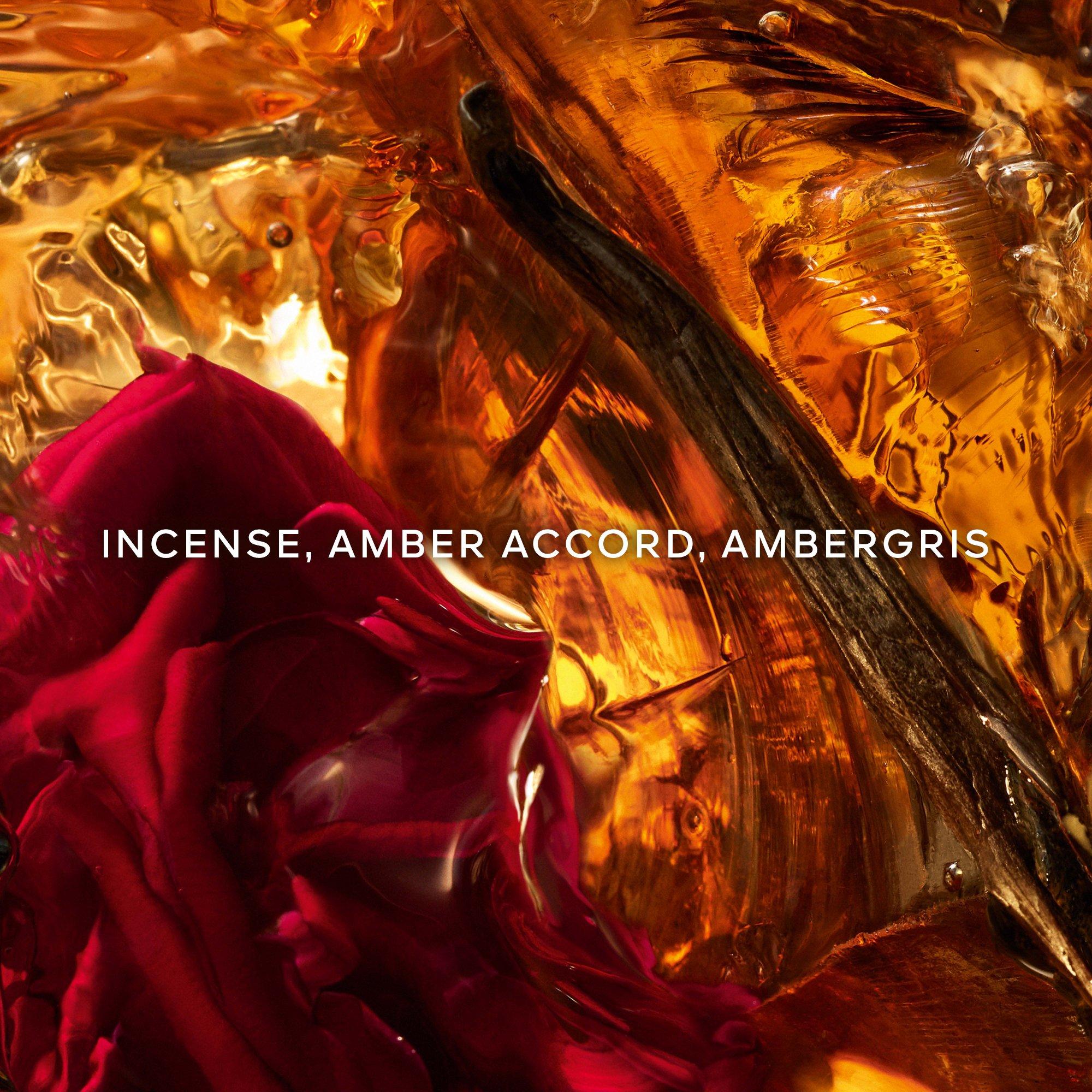 Clear - Guerlain - Absolus Allegoria Ambre Samar Eau de Parfum - 3