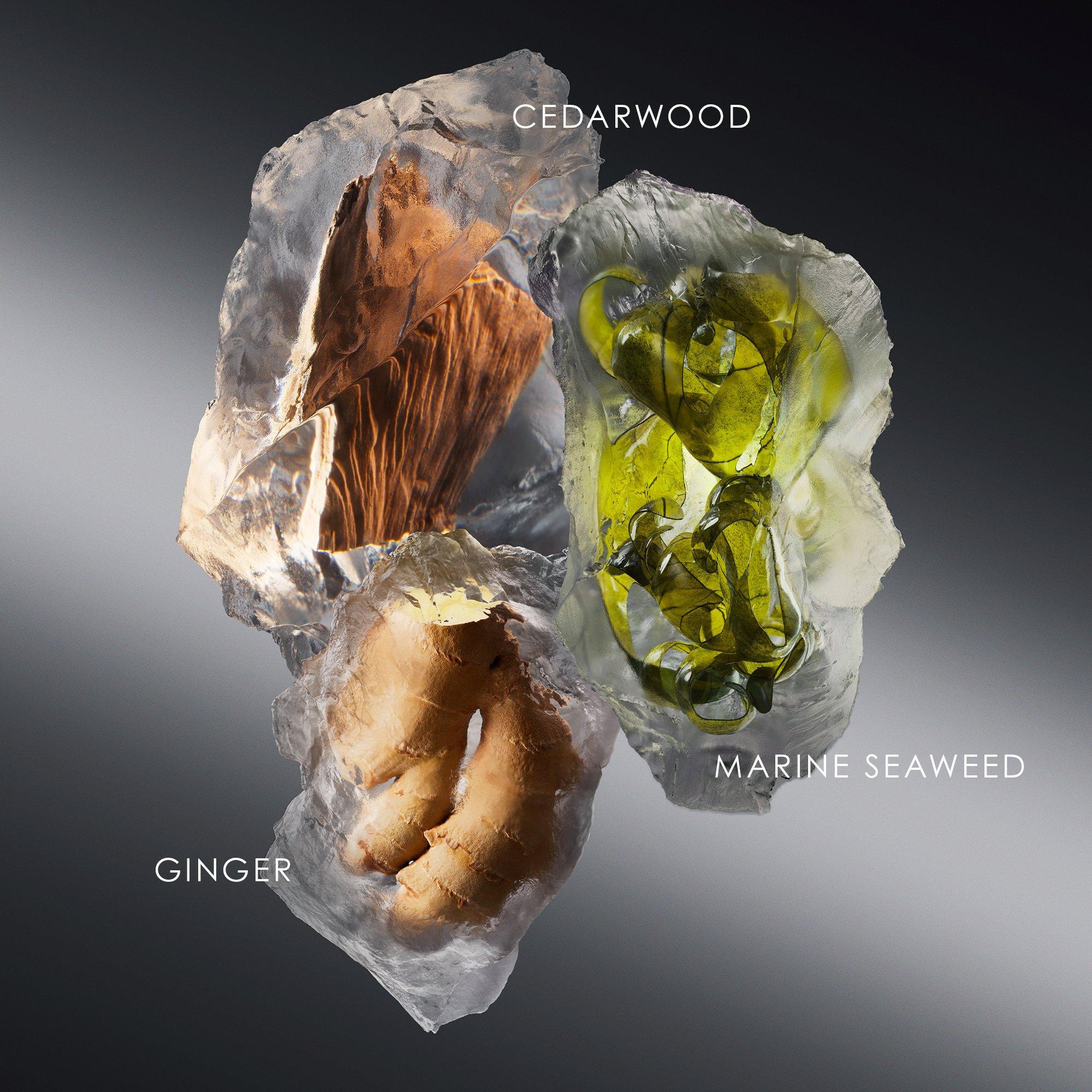 Clear - Issey Miyake - Le Sel dIssey Eau de Toilette - 2