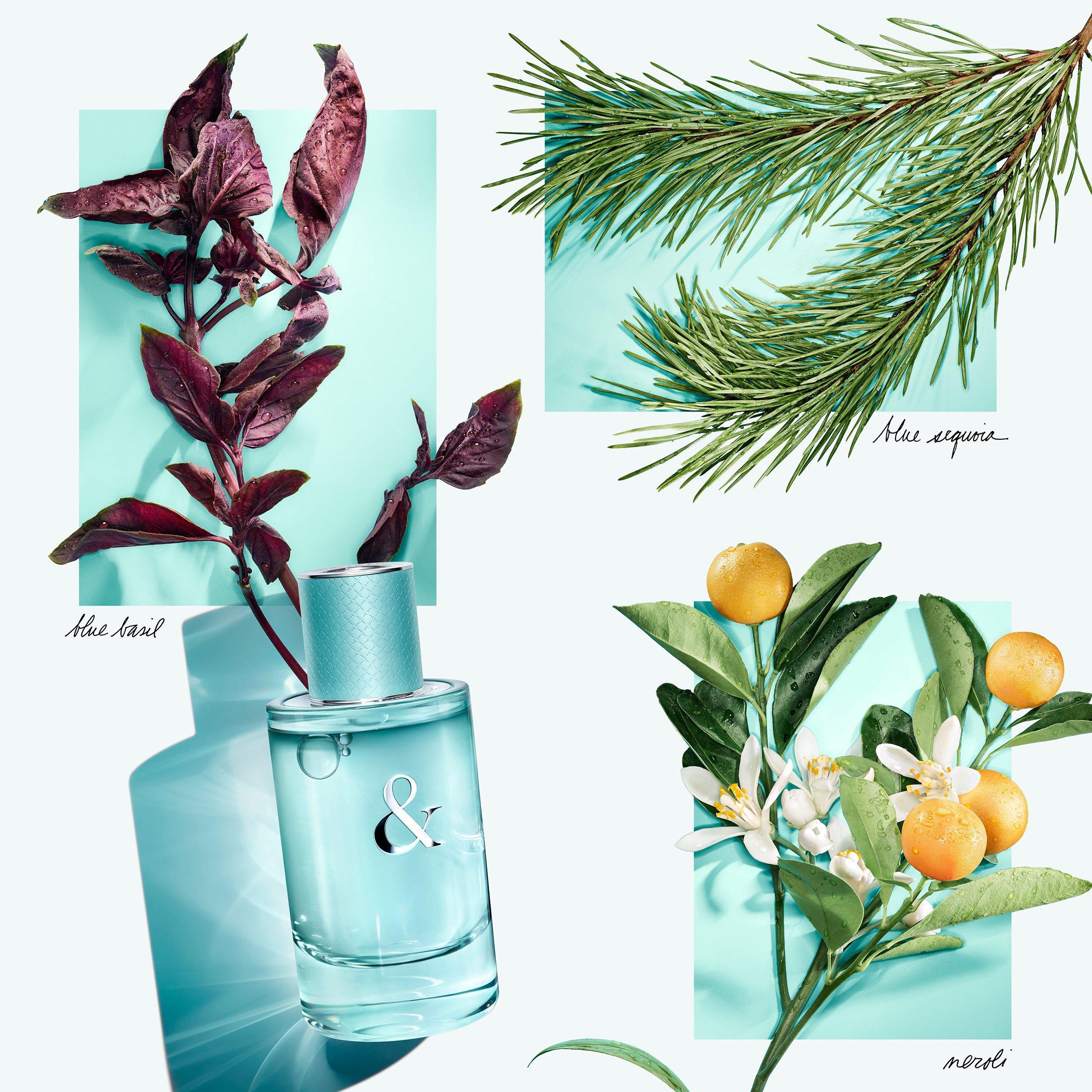 &Love - Tiffany - Tiffany & Love For Her Eau de Parfum - 3