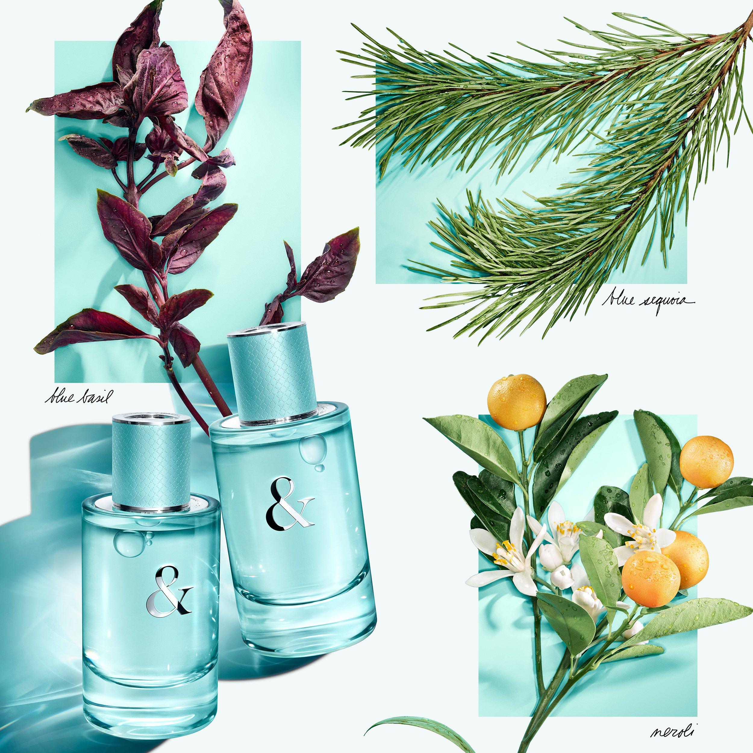 Tiffany & Love For Her Eau de Parfum | FRASERS