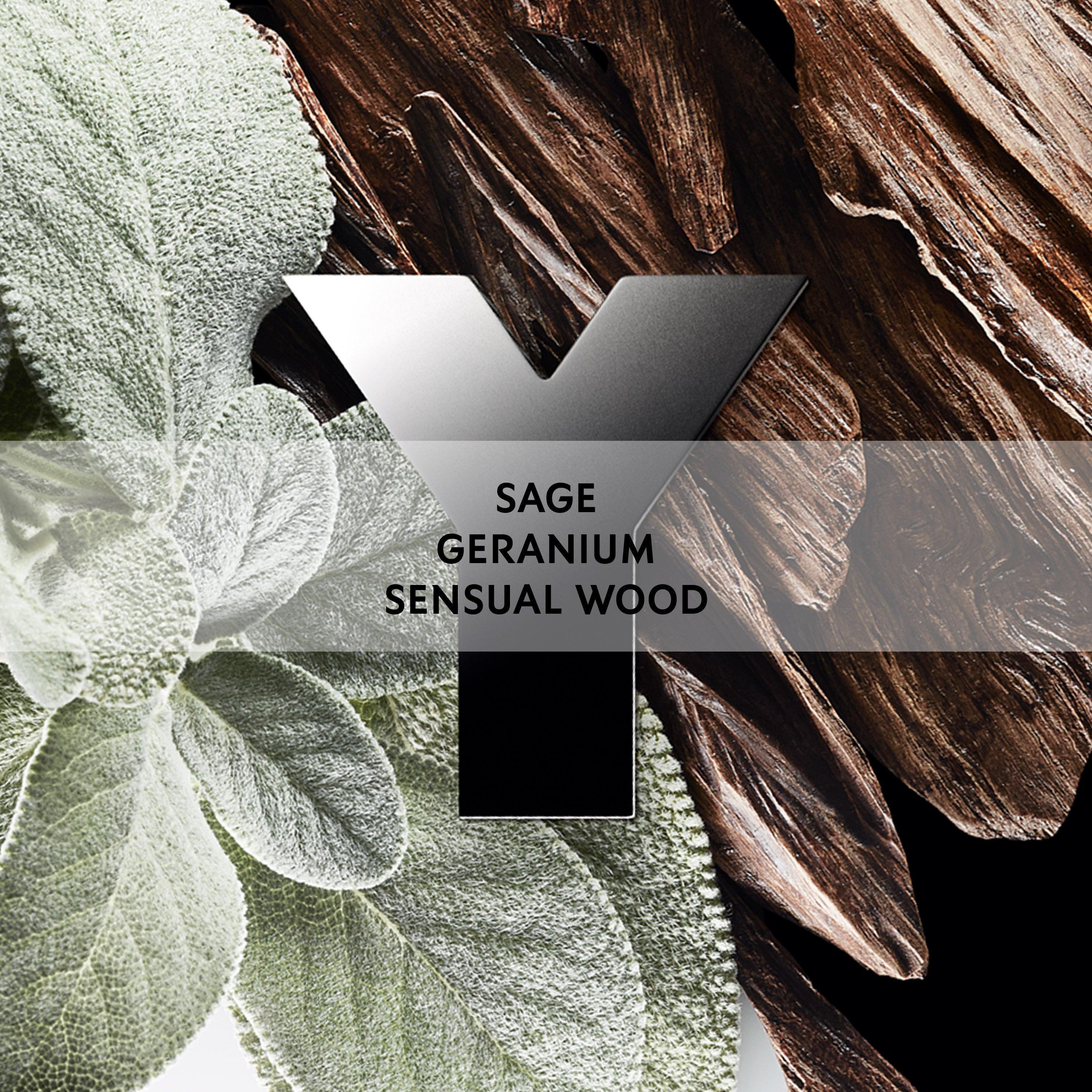 Mist - Yves Saint Laurent - Y Eau De Parfum - 2