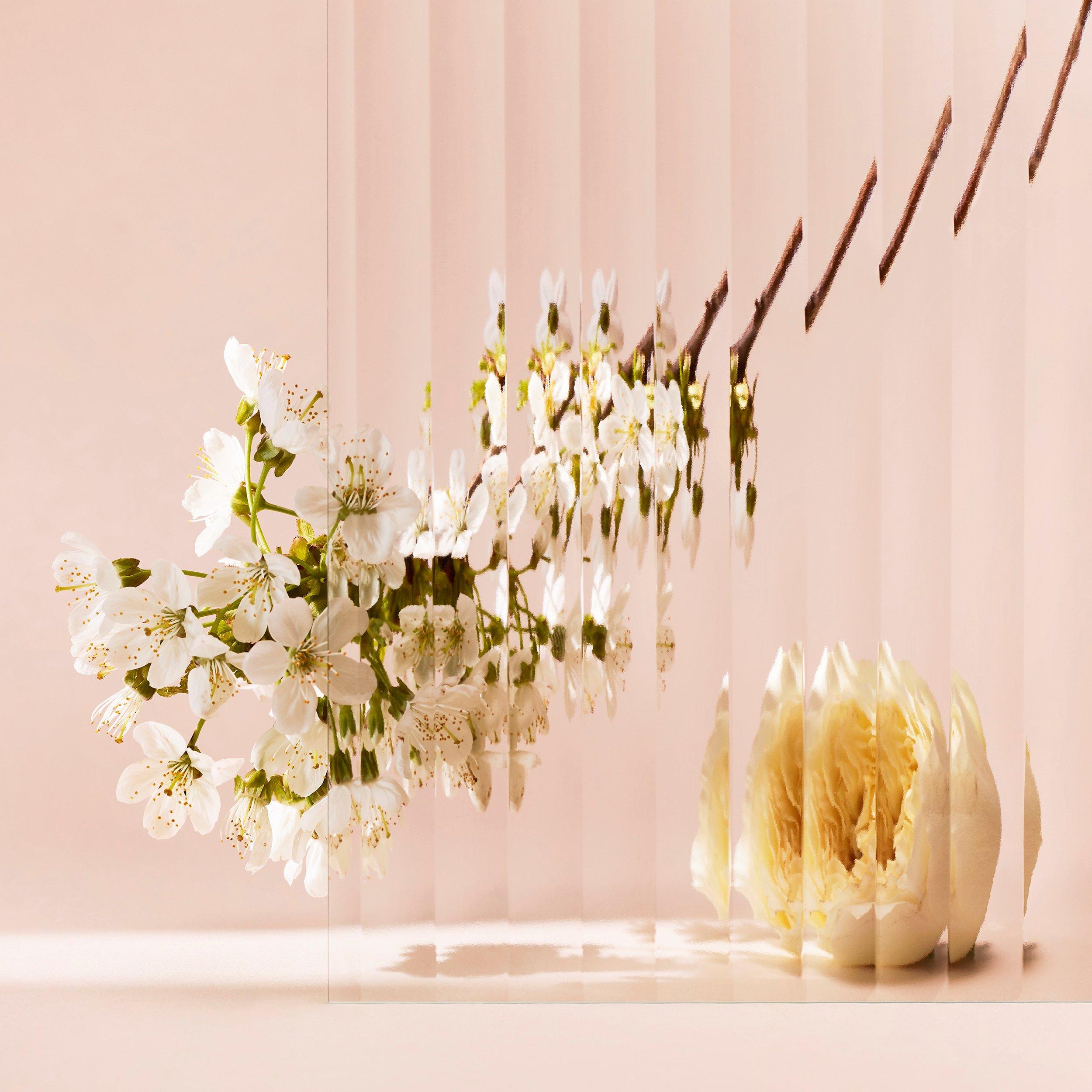 Mist - Chloe - Eau de Parfum For Her - 8