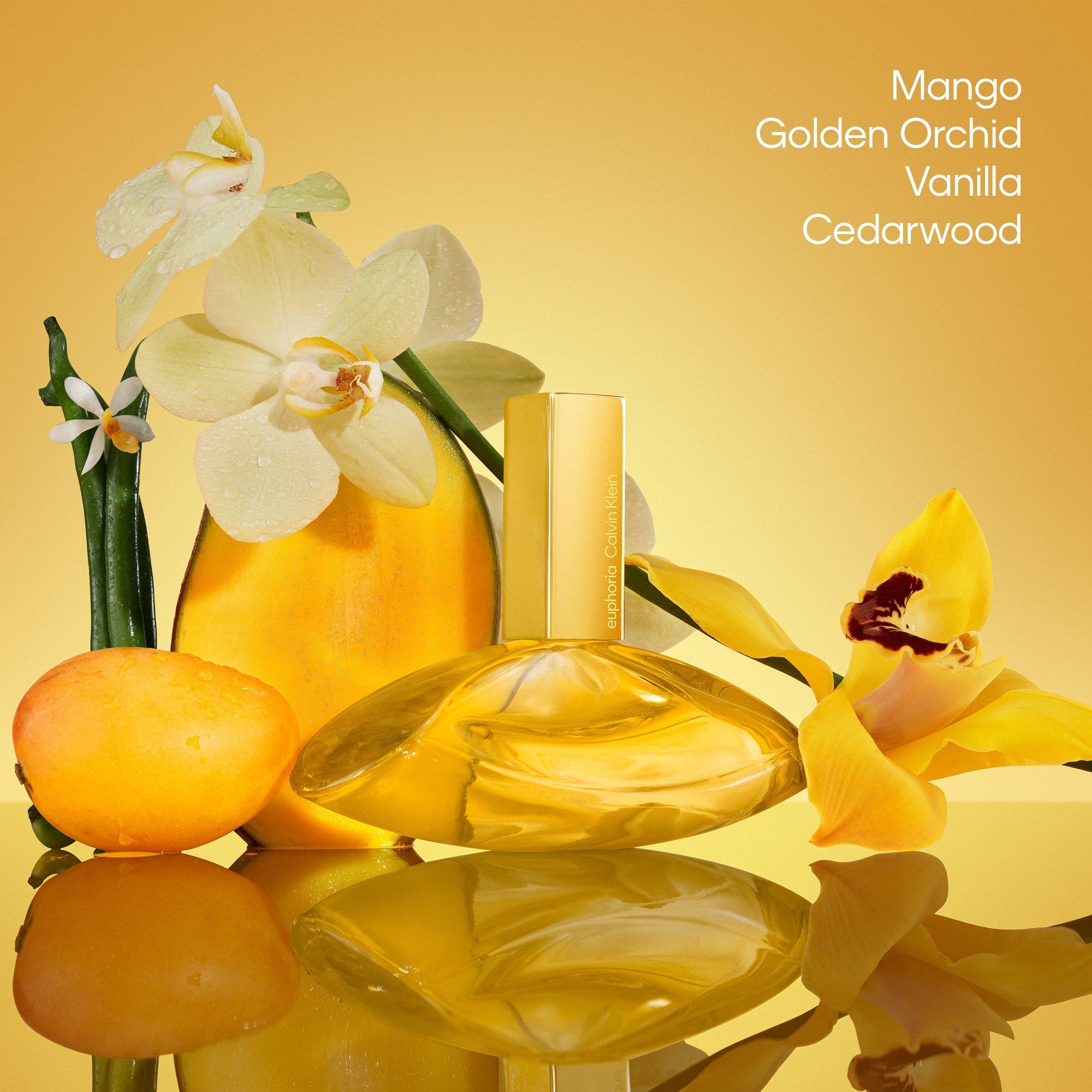 Clear - Calvin Klein - Calvin EuphoriaSolar Ld00 - 2