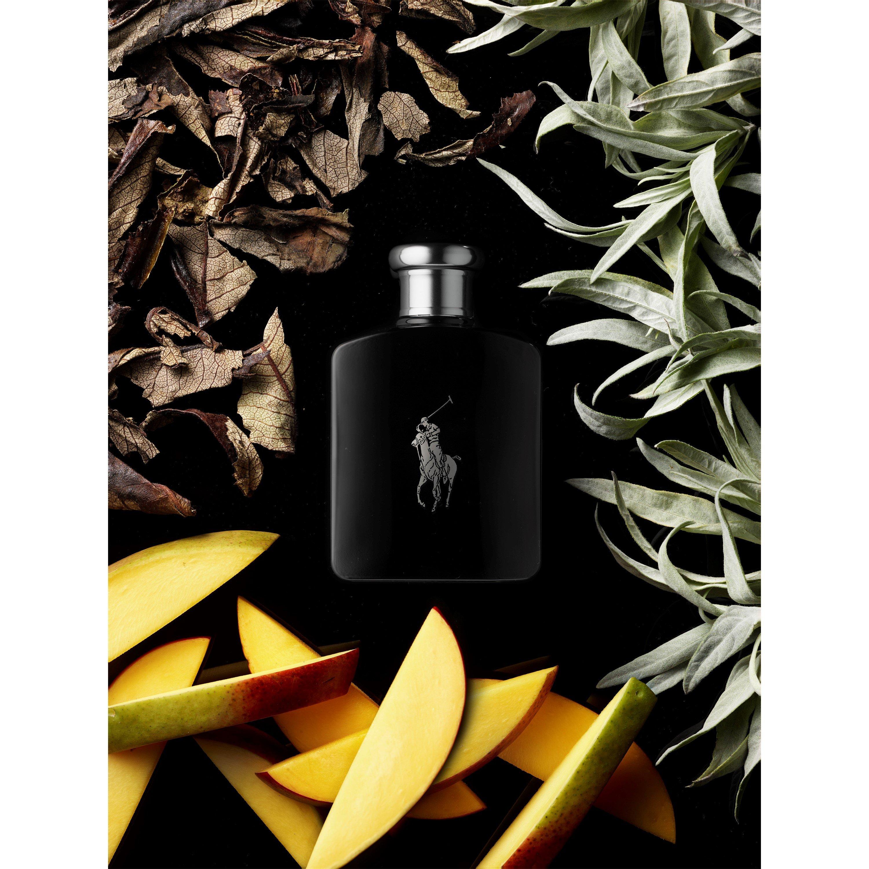 Polo Black - Ralph Lauren - Ralph Lauren Polo Black eau de toilette - 3