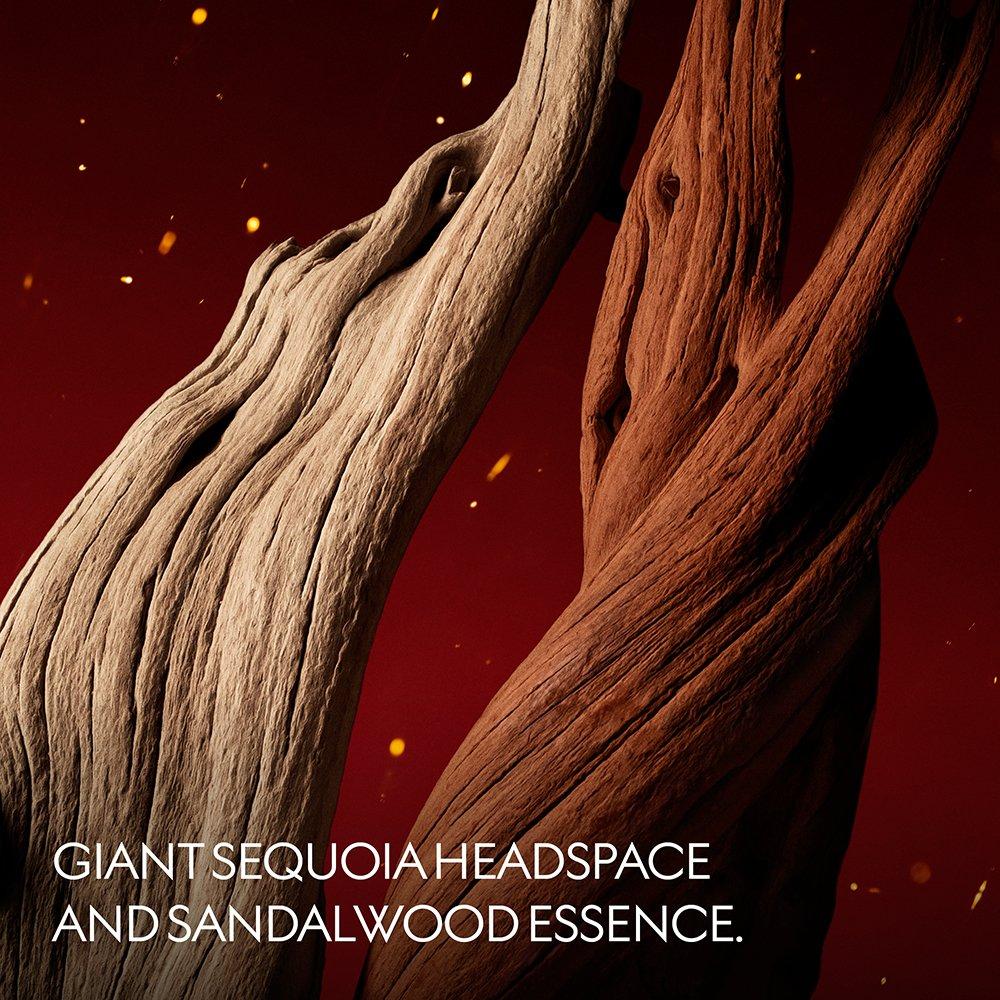 Clear - Gucci - GAG LignumIdealis Ld00 - 4