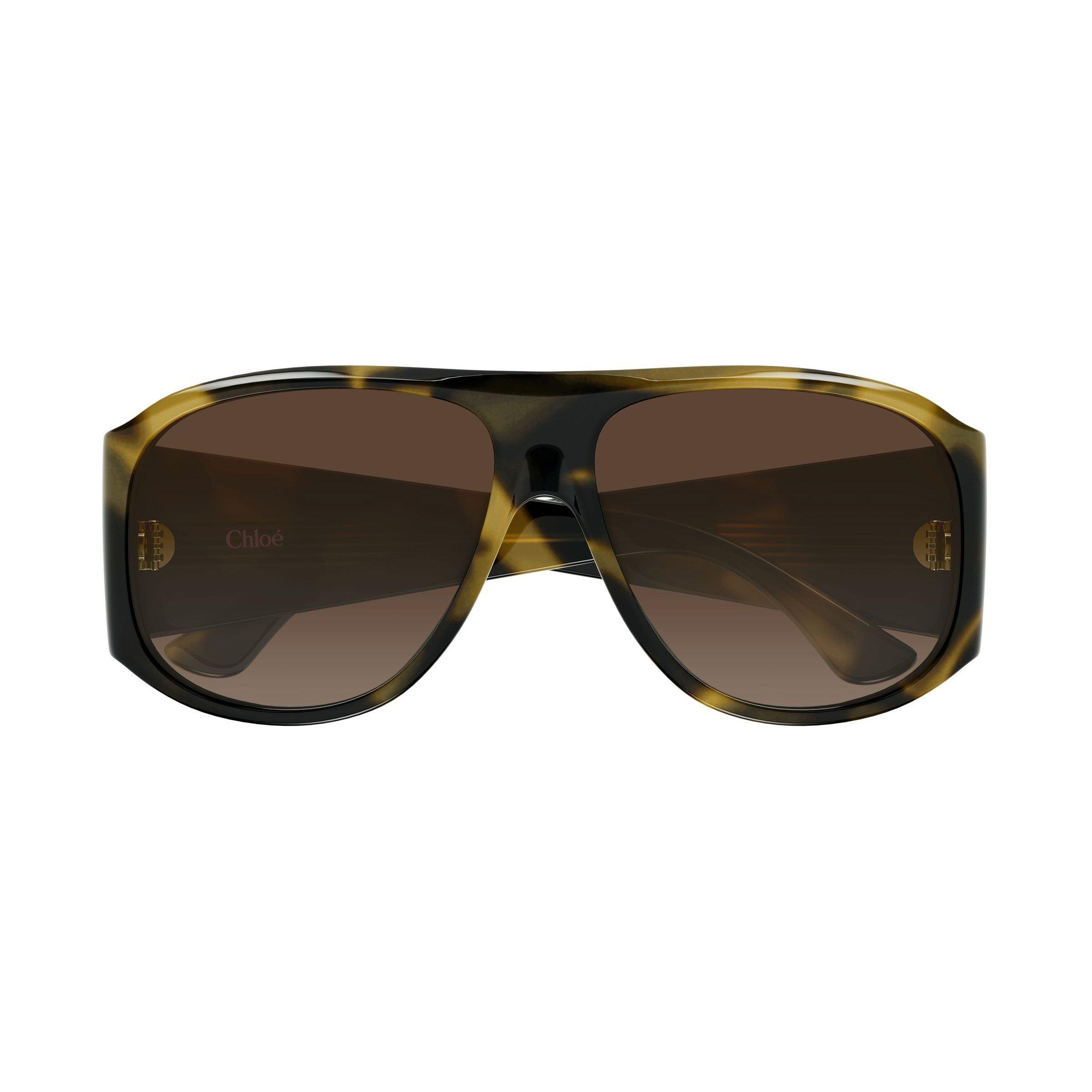 Havana/Brown - Chloe - Chloe S CH0347S Ld74 - 2