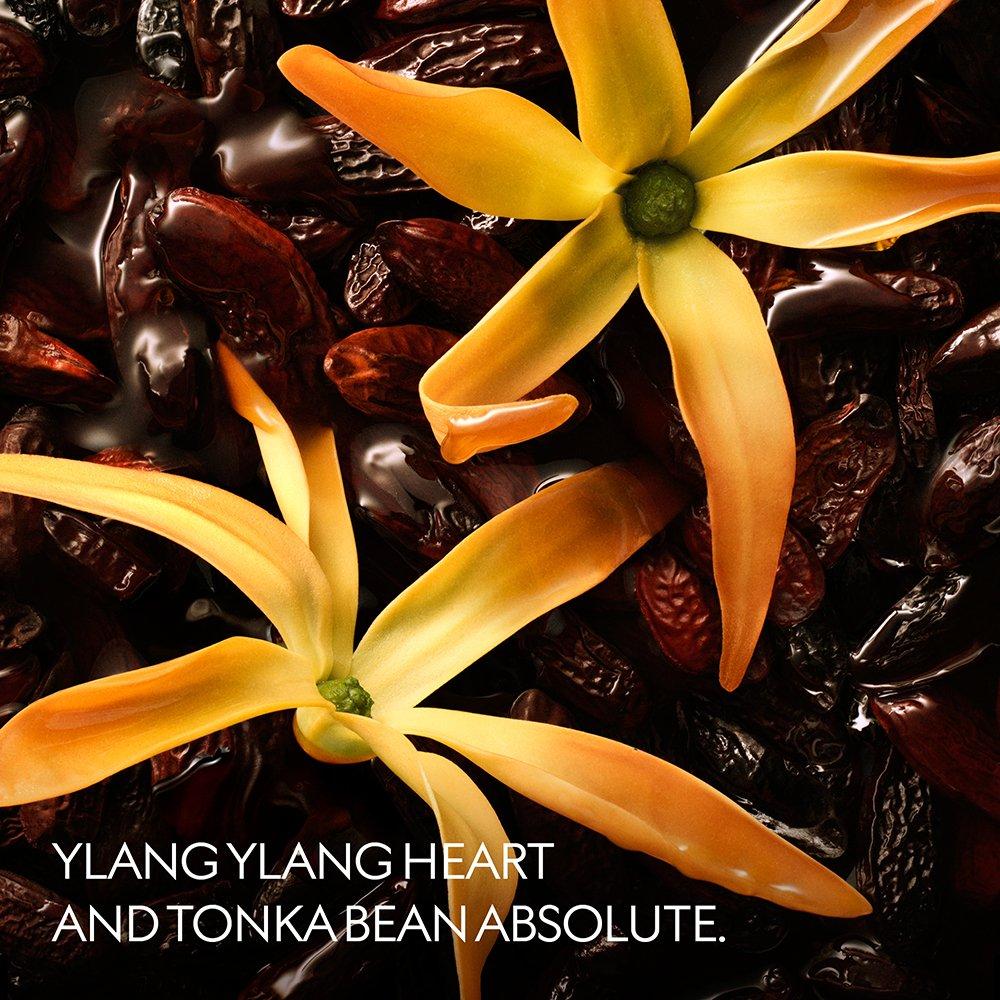 Clear - Gucci - GAG YlangAmbrato Ld00 - 4