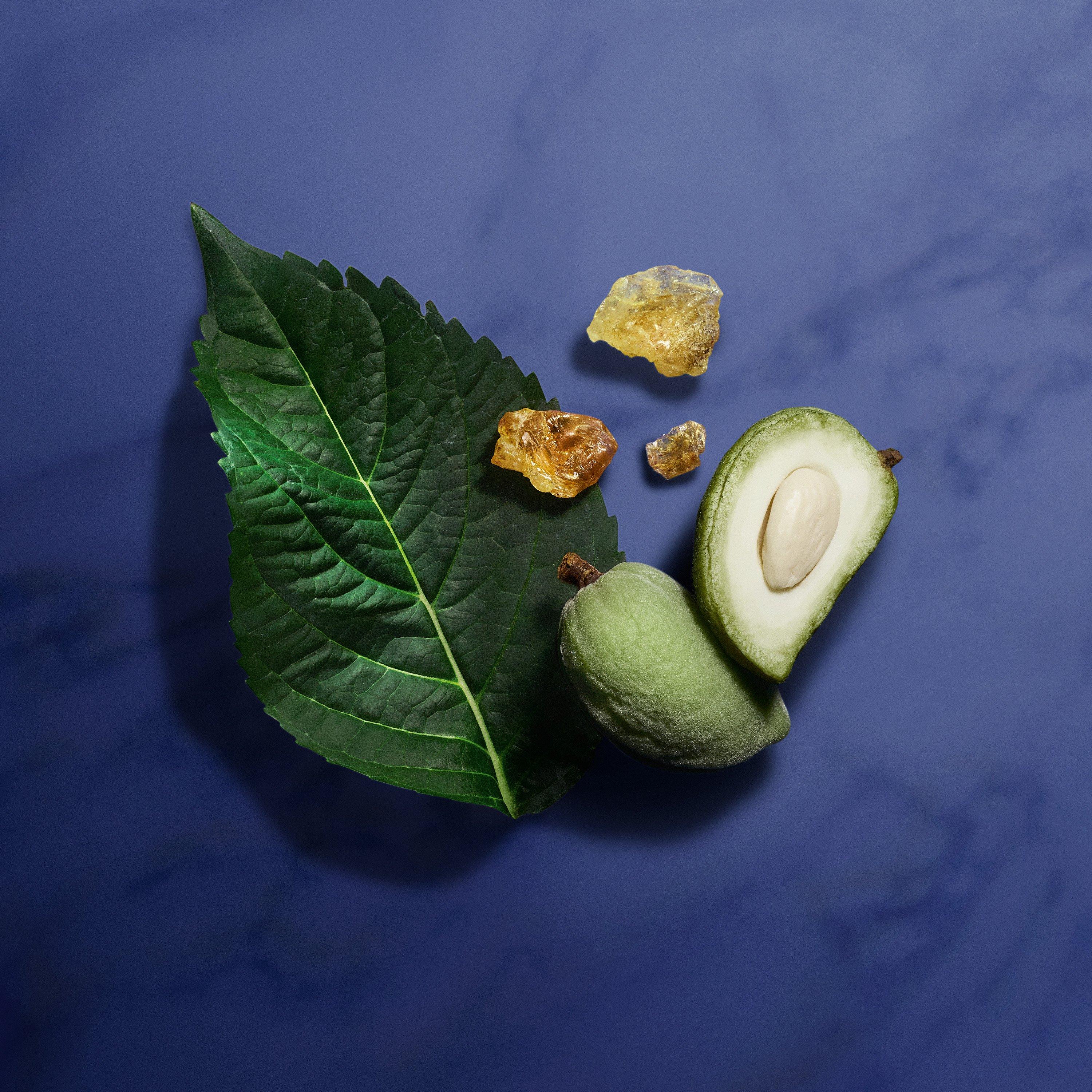 Clear - Armani Beauty - Armani Beauty Indigo Ld00 - 4