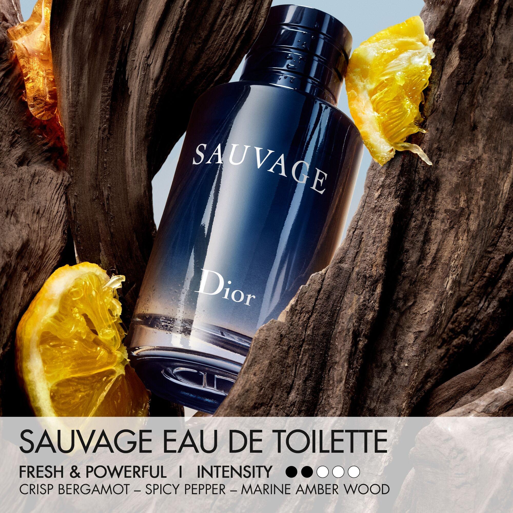 None - DIOR - Sauvage Eau de Toilette 100ml - Limited Edition Case - 2