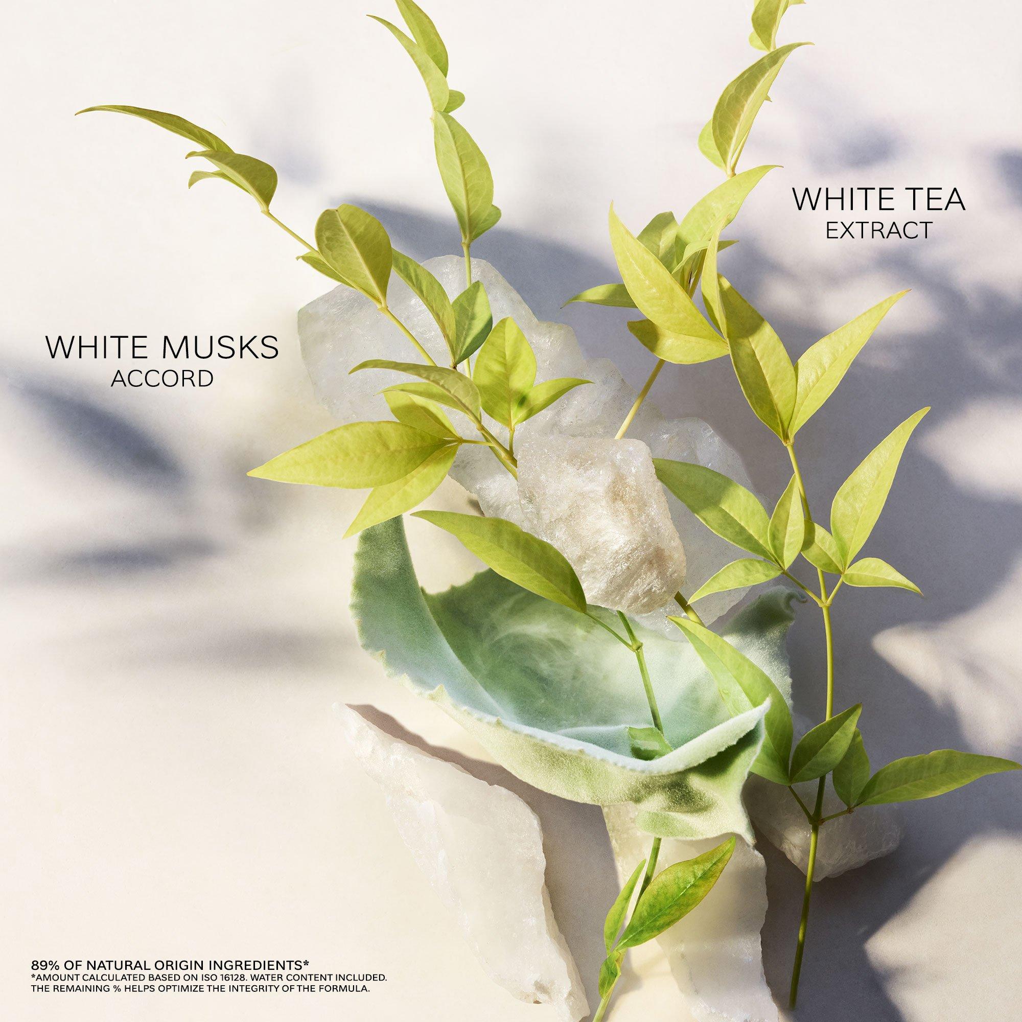 Clear - Bvlgari - Eau Parfumee The Blanc Eau de Toilette - 4