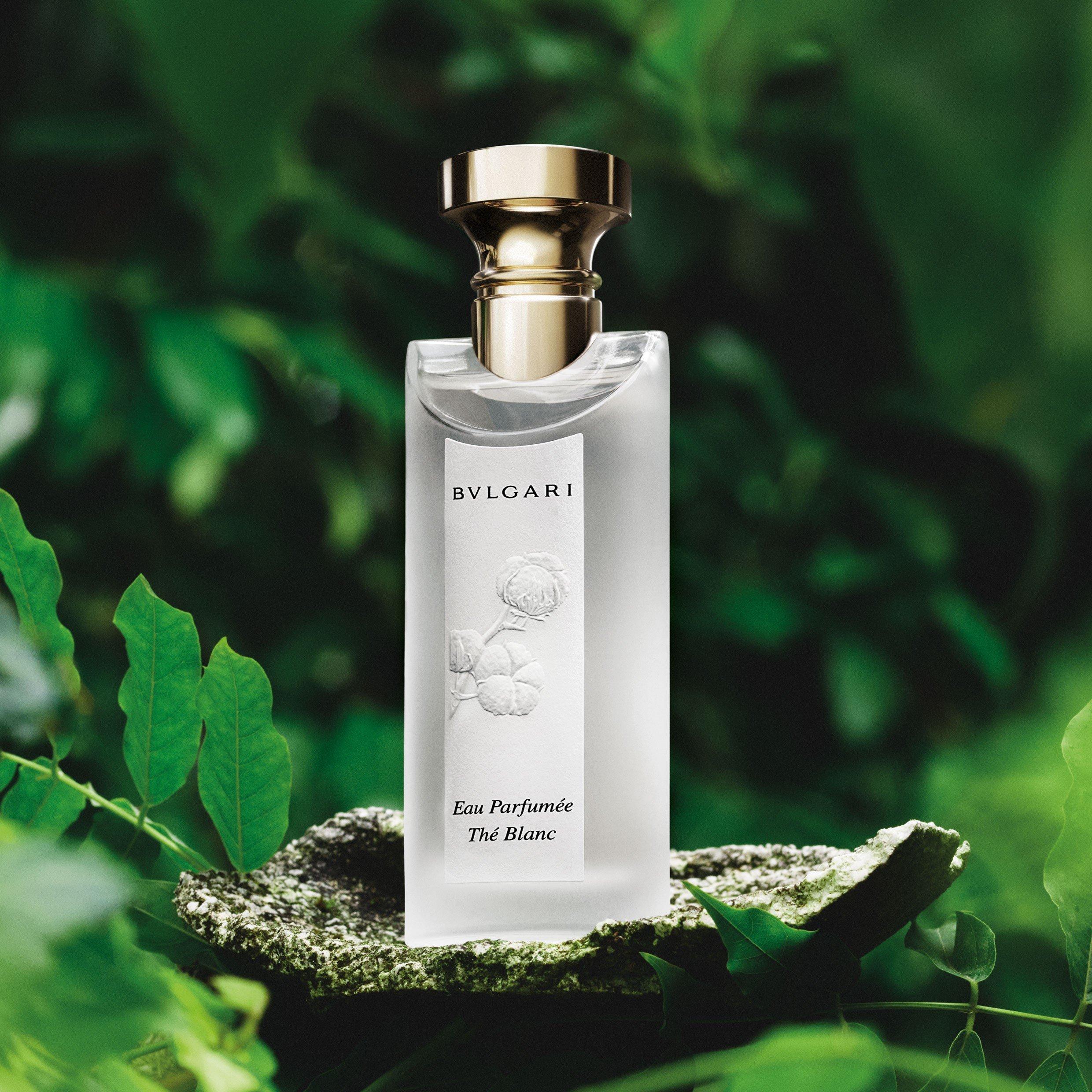 Clear - Bvlgari - Eau Parfumee The Blanc Eau de Toilette - 5