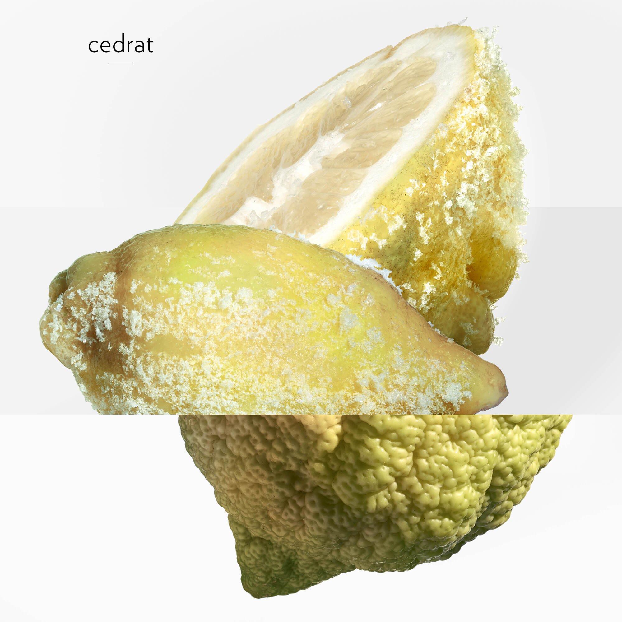 Clear - Hermes - Terre D'hermes Eau Givree Eau De Parfum - 5