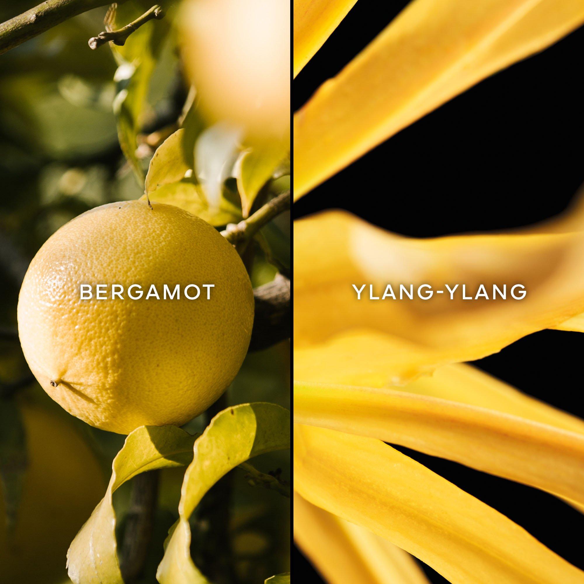 Clear - Guerlain - Les Legendaires Terracotta - Eau de Toilette - 3